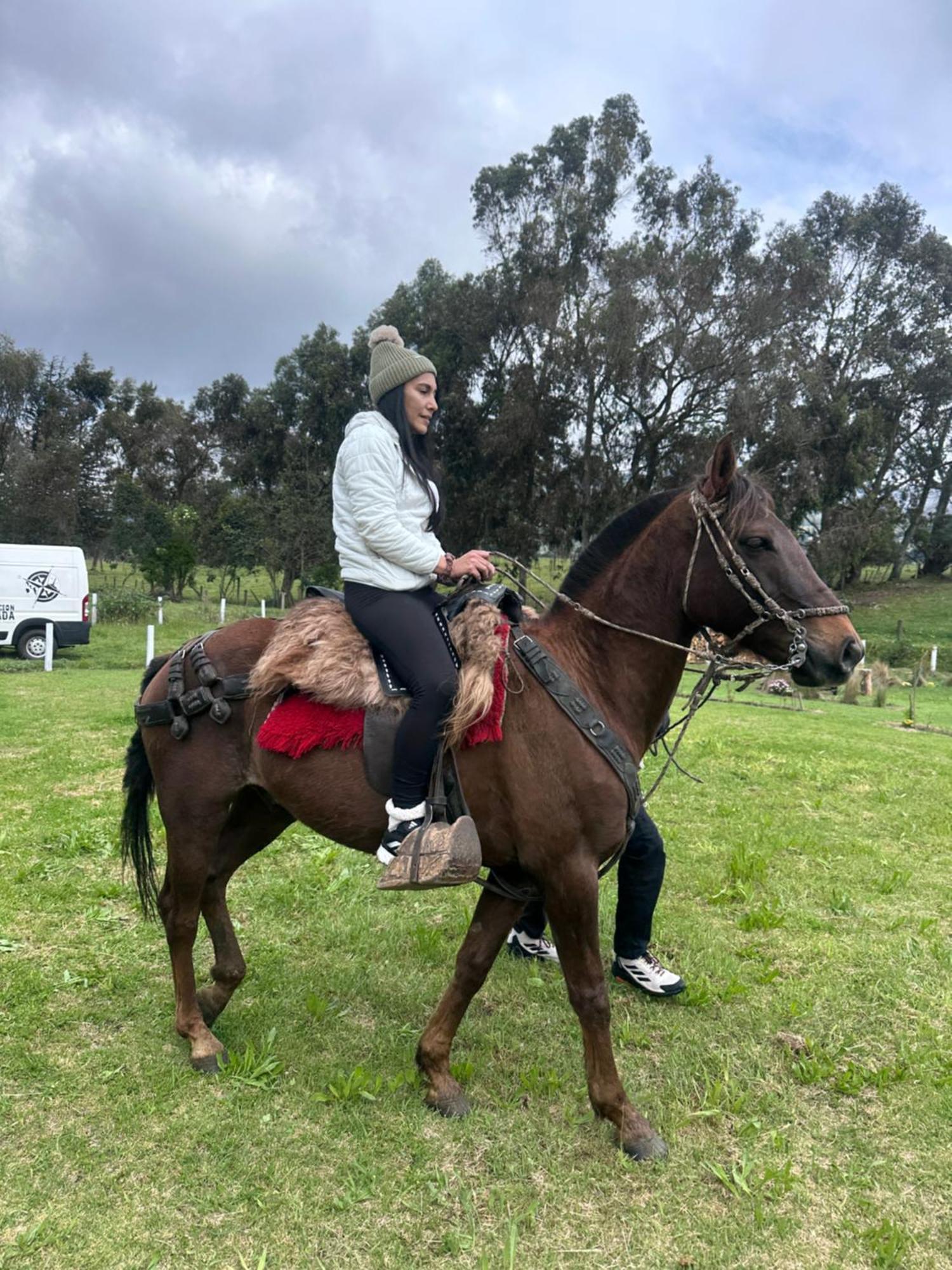 W I M, & Camping